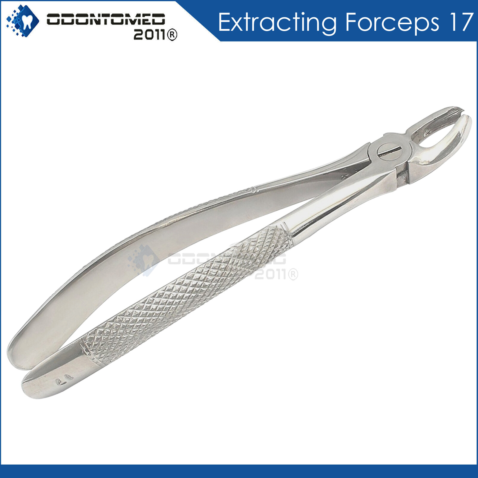 Dental Tooth Extracting Forceps #17 with Serrated Jaws English Pattern