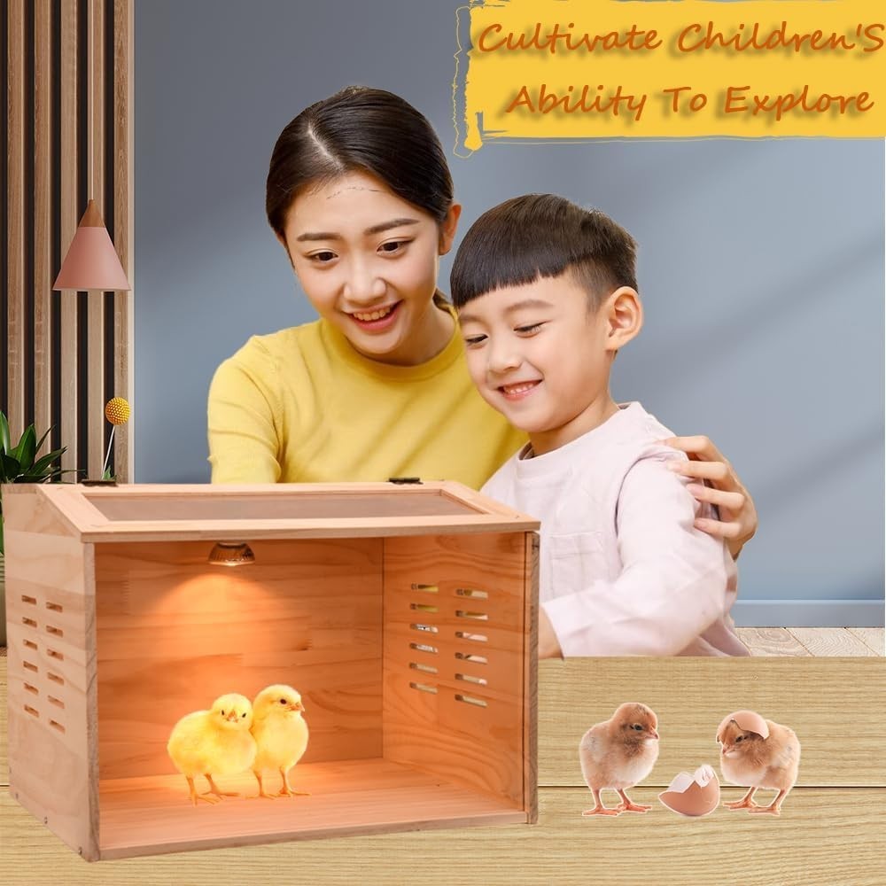 Chicken Brooder Box with Heater for Chicks Ducks Quail Poultry