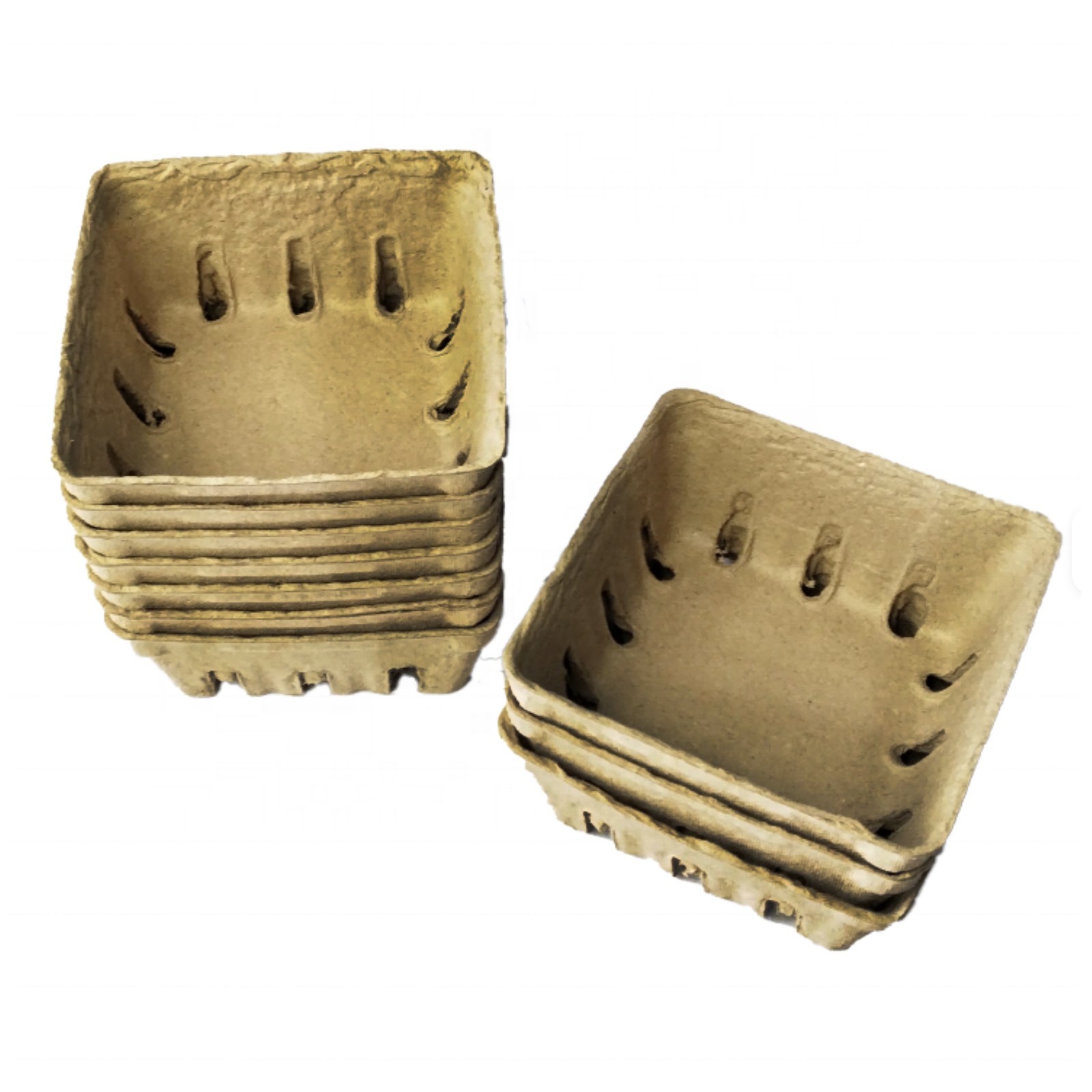 Drip Depot 10 Pack Natural Pulp Fiber Berry Basket