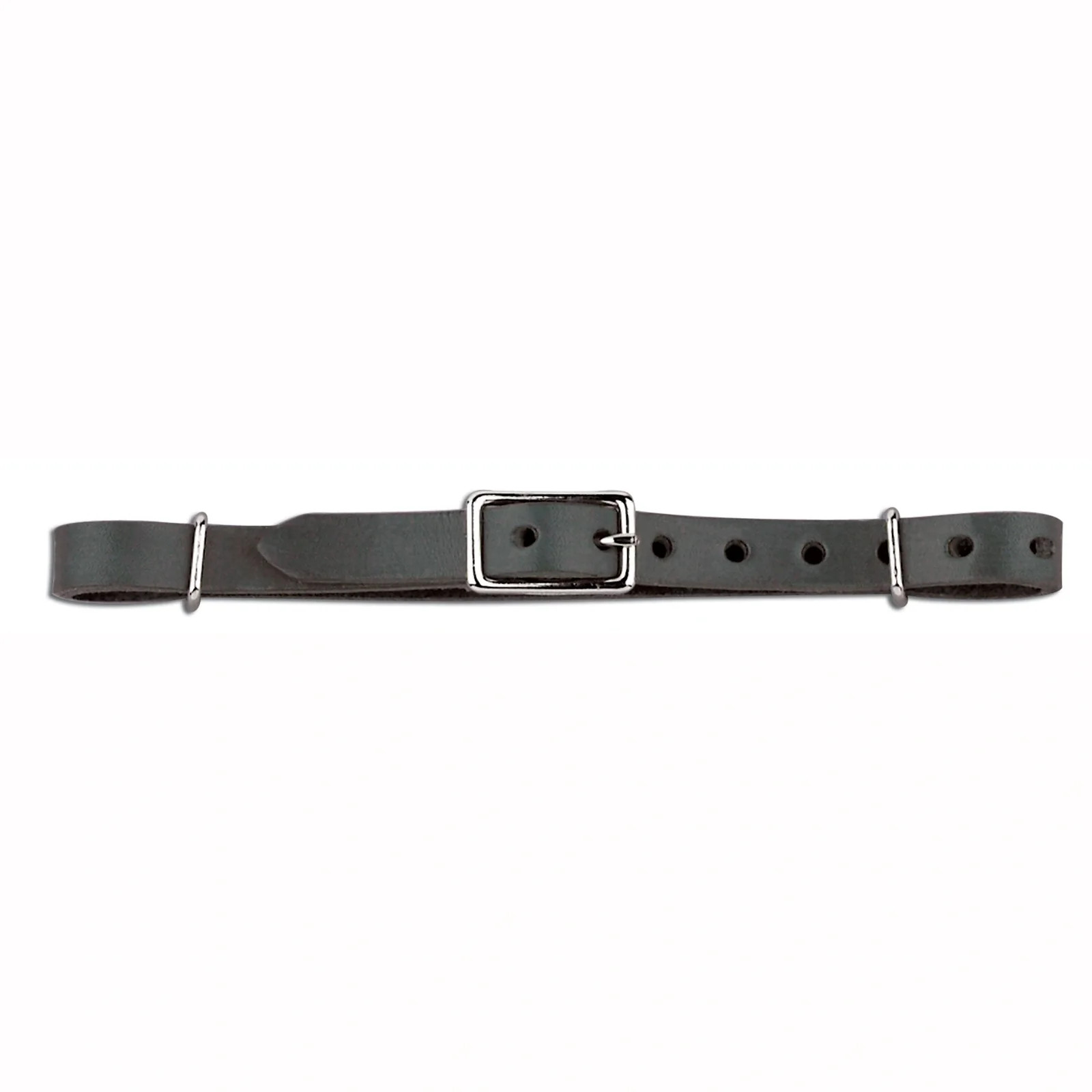Myler 7.5” Adjustable Synthetic Curb Strap for Combination Bits - BioThane Beta