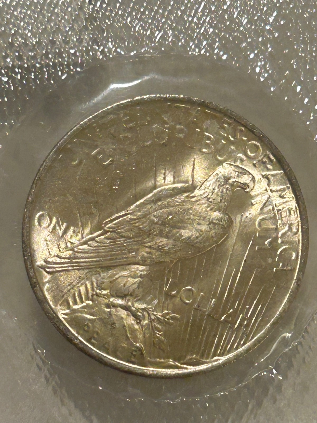 1923 P Peace Silver Dollar PCGS MS63 Original GSA Softpack Encapsulated