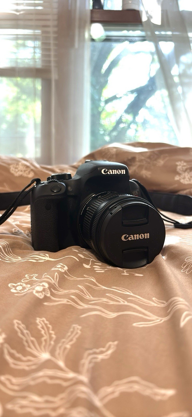 Canon EOS Rebel T7i Camera Bundle w/ 2 Lenses, Bag, 2 Batteries