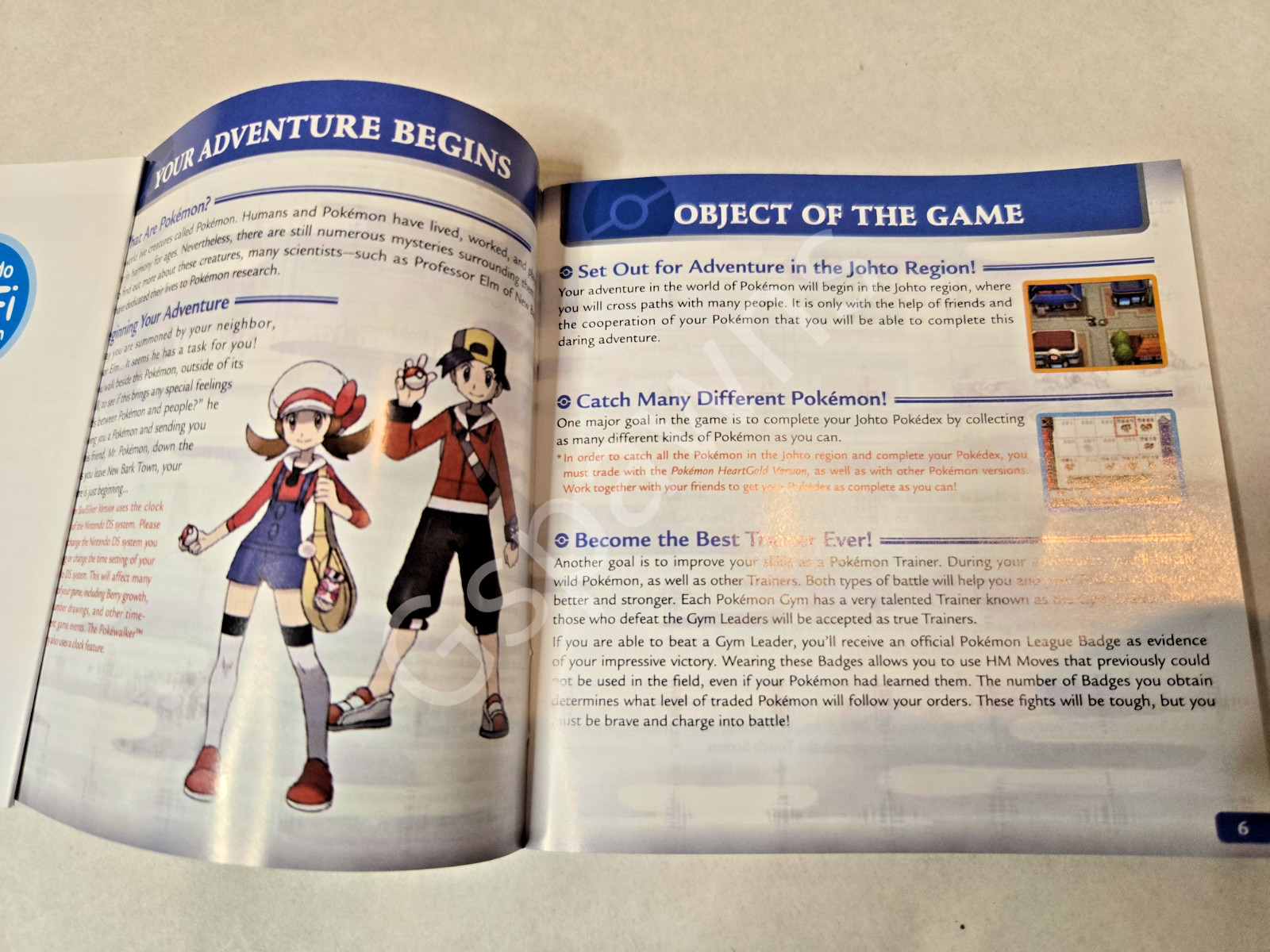 Pokémon SoulSilver Version Replacement Case and Manual Only-(No Game)Nintendo DS