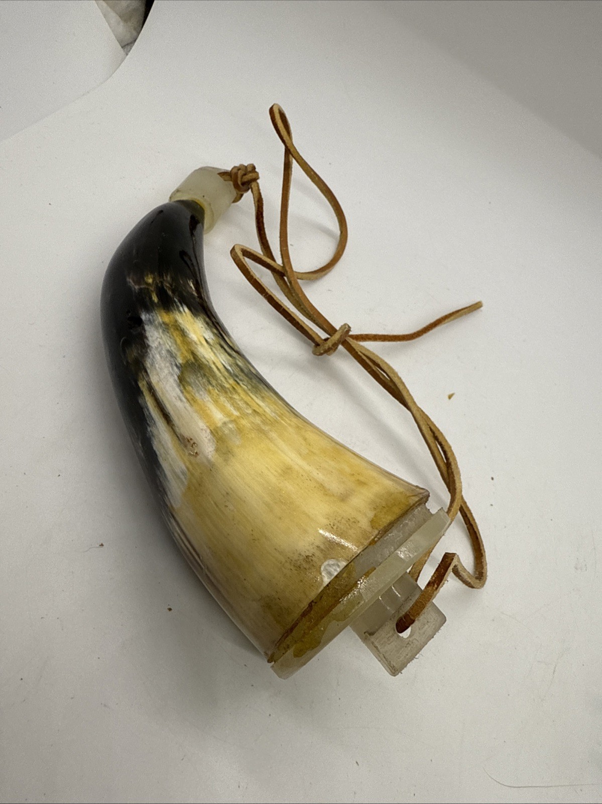 Powder Horn, 6”