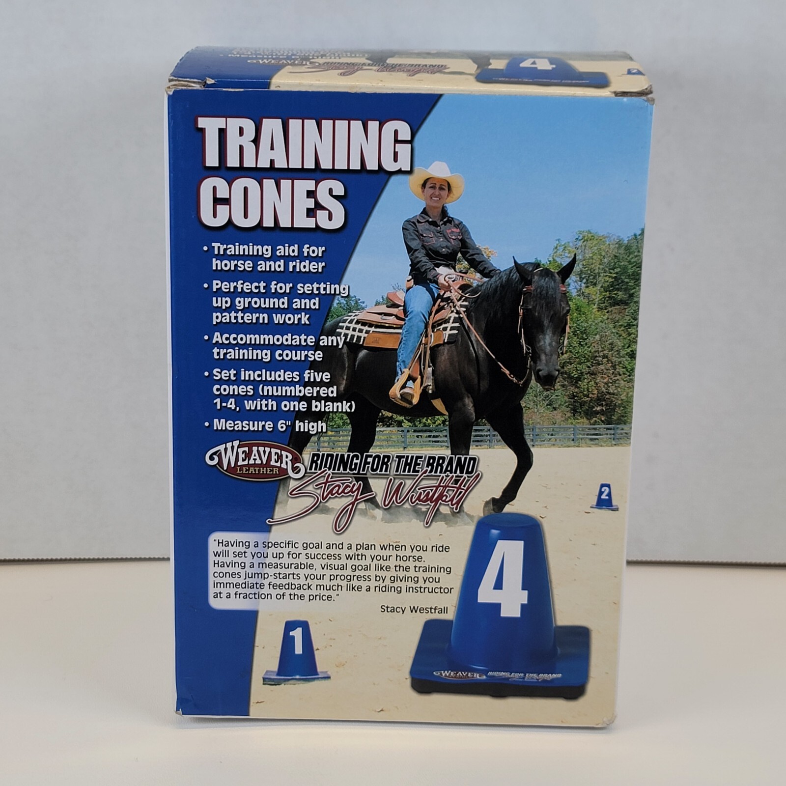 Weaver Leather Horse Training Cones 5 Cones 6in Blue