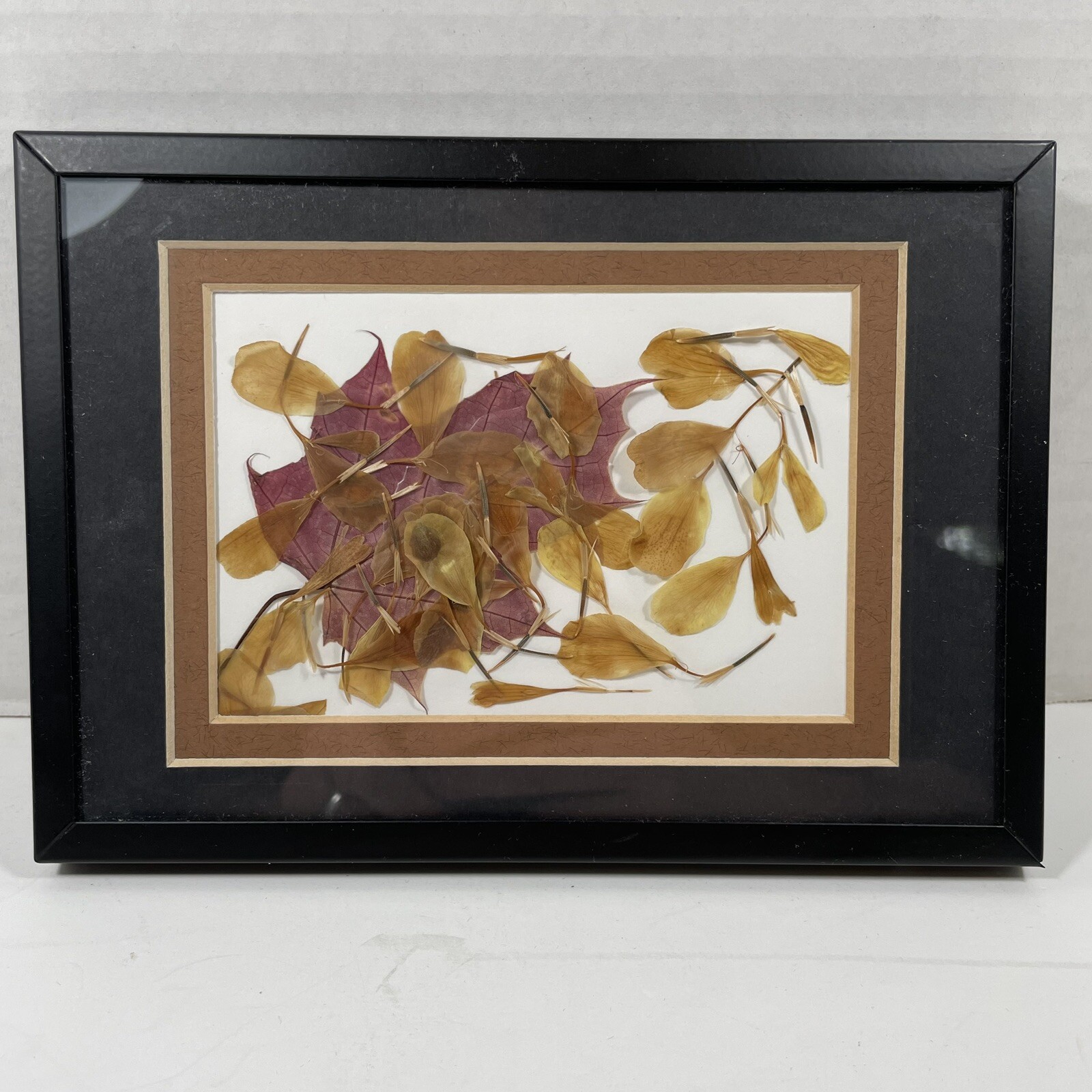 Framed Dried Leaf Collage Purple Yellow Brown Mat Black Frame 5 x 7 Assemblage