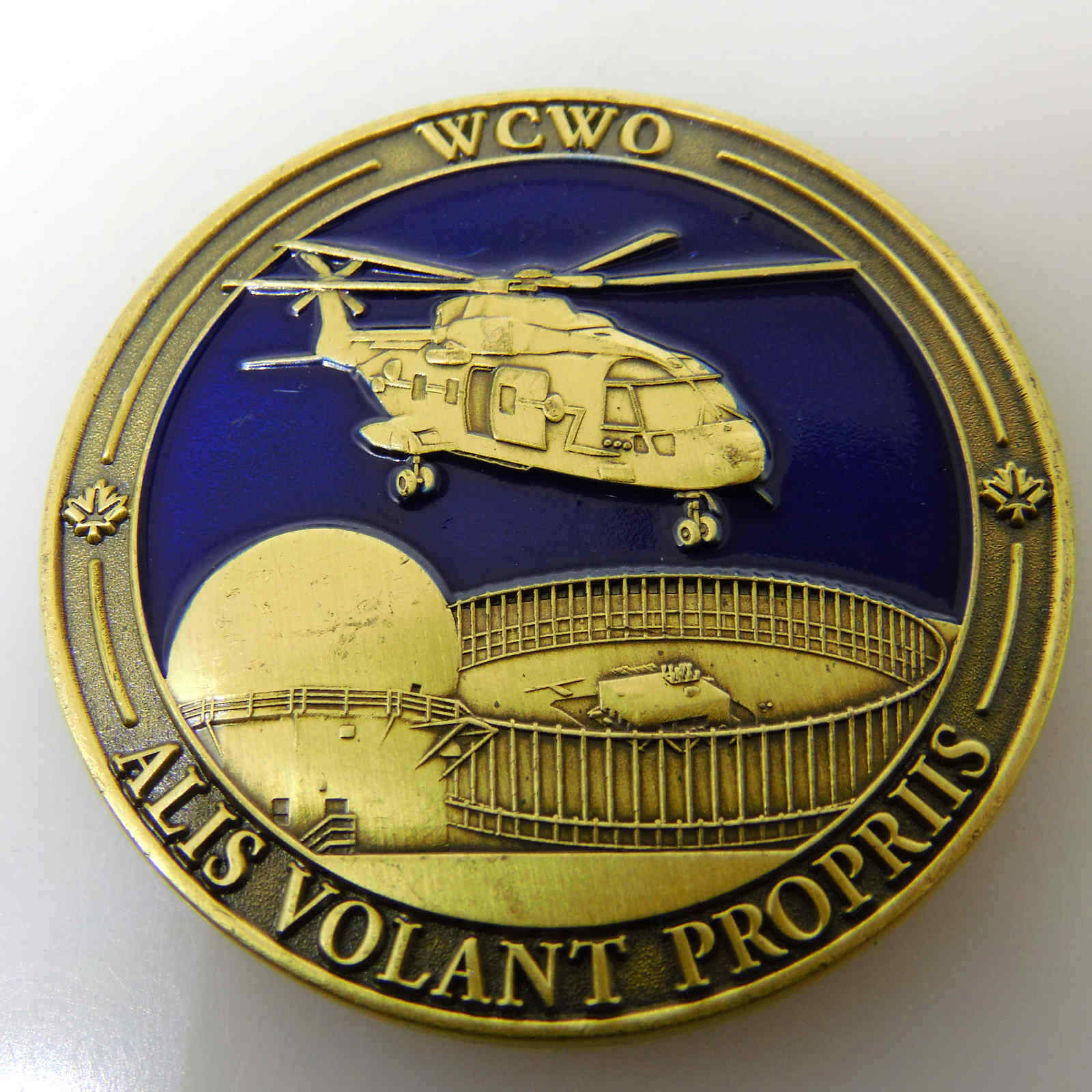 9 WING GANDER STEADFASTNESS GANDER WCWO ALIS VOLANT PROPRIIS CHALLENGE COIN