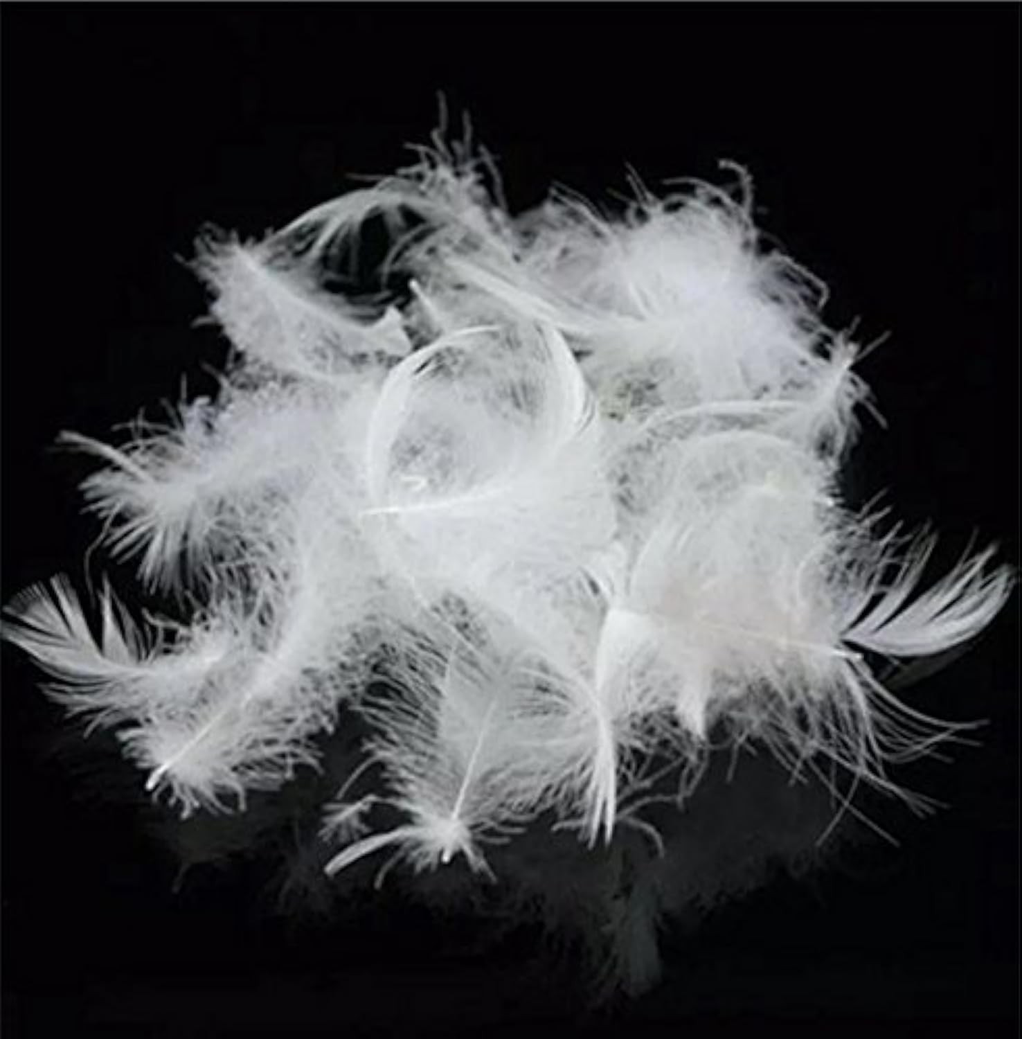 Bulk Goose Down Feather Stuffing & Fill – Hypoallergenic Pillow Filling, Repa...