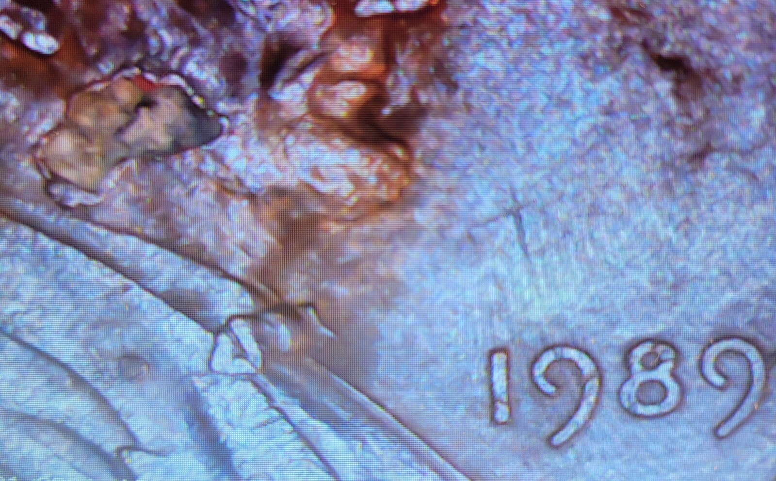 1989 Lincoln Cent Penny DD/Multiple DIE Errors Look At These Pictures