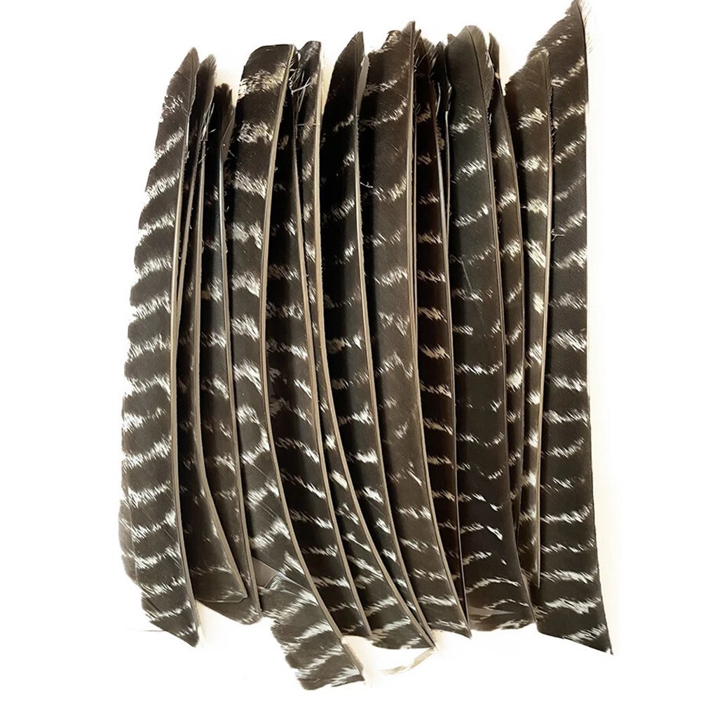 50pcs Full Length Arrow Feathers Turkey Fletches Fletching LW Archery Shaft DIY