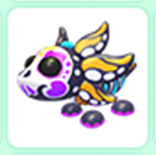 Sugar Axolotl - Adopt right now