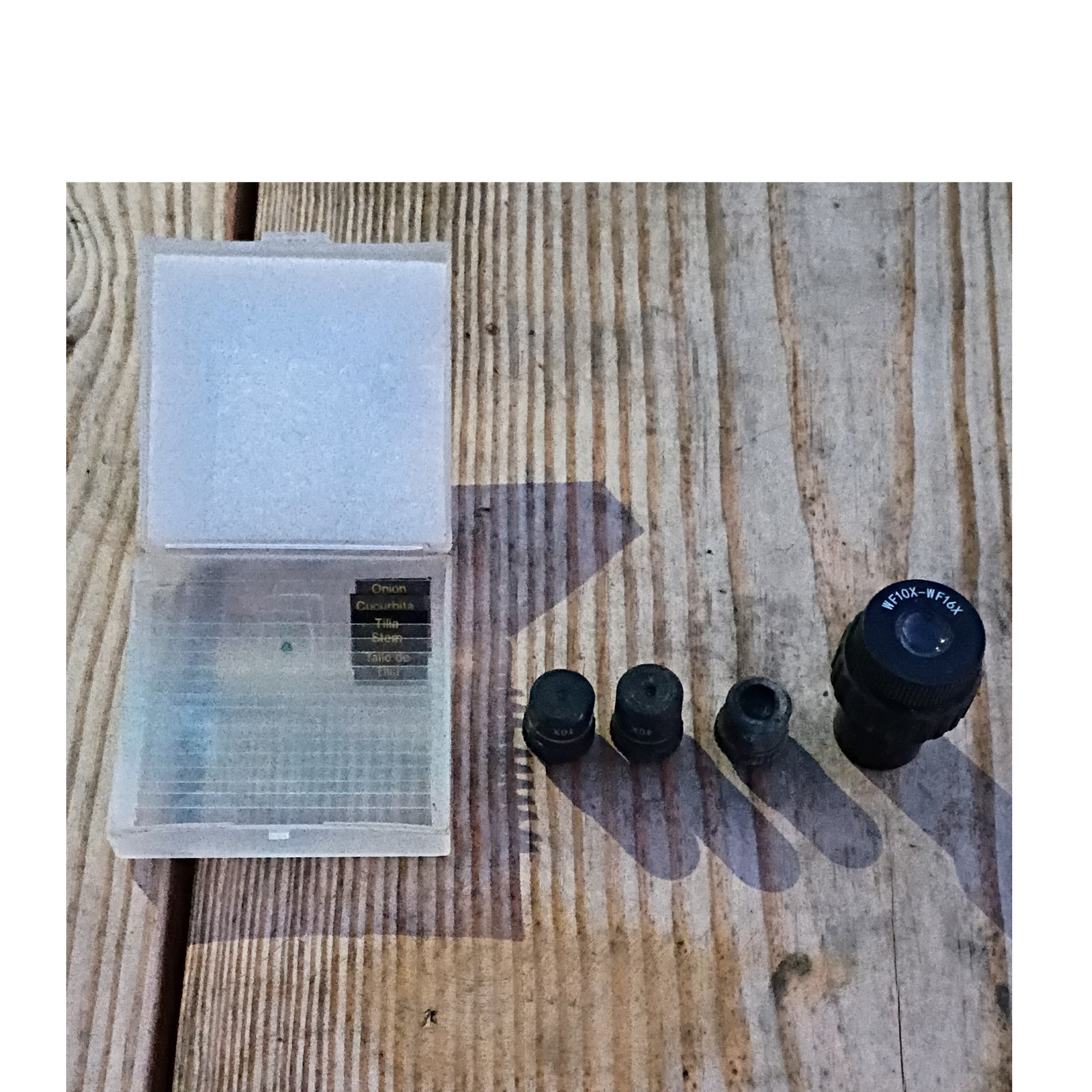 Microscope Eyepieces 10X 16X, Objectives 4X 10X 40X, Slides Set