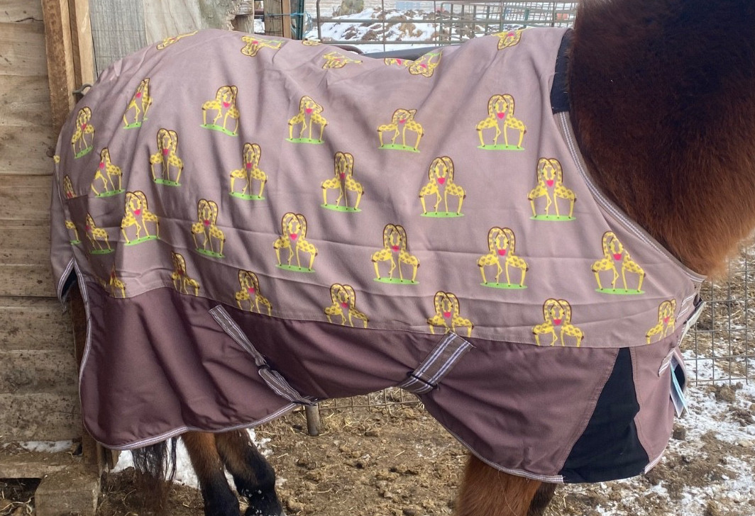 TuffRider Bonum 39" 1200d medium weight giraffe print waterproof turnout blanket