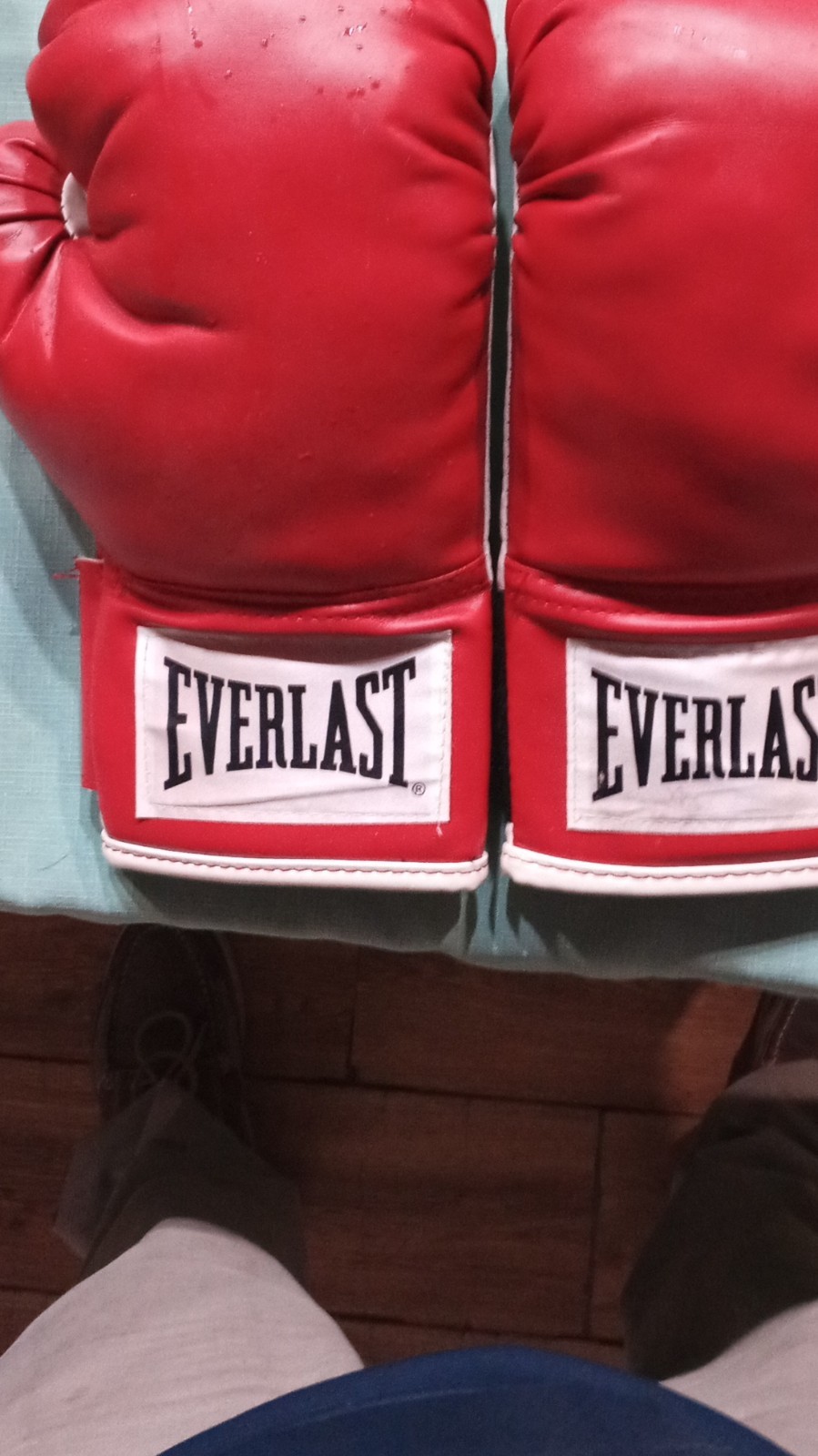 Everlast Red Boxing Gloves Training Sparring Adult Sports Equipment