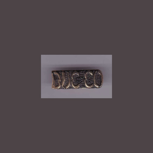 DUC CO + a custom promo pin