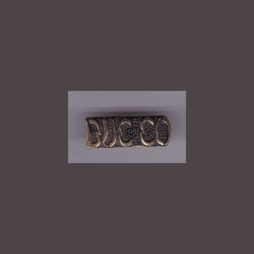 DUC CO + a custom promo pin