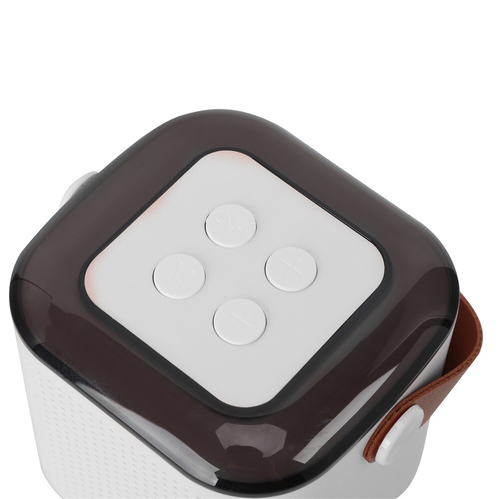 Portable White Bluetooth Karaoke Speaker Machine Kids Mics