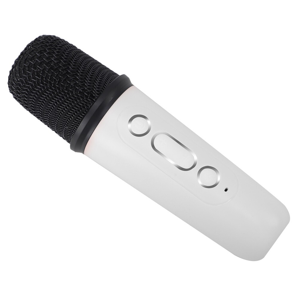 Portable White Bluetooth Karaoke Speaker Machine Kids Mics