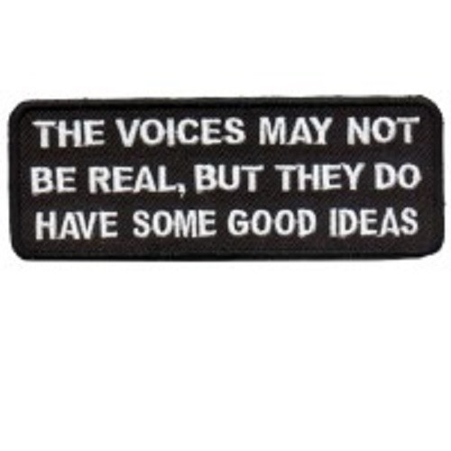VOICES MAY NOT BE REAL BUT THEY DO HAVE SOME GOOD IDEAS EMBROIDERED PATCH