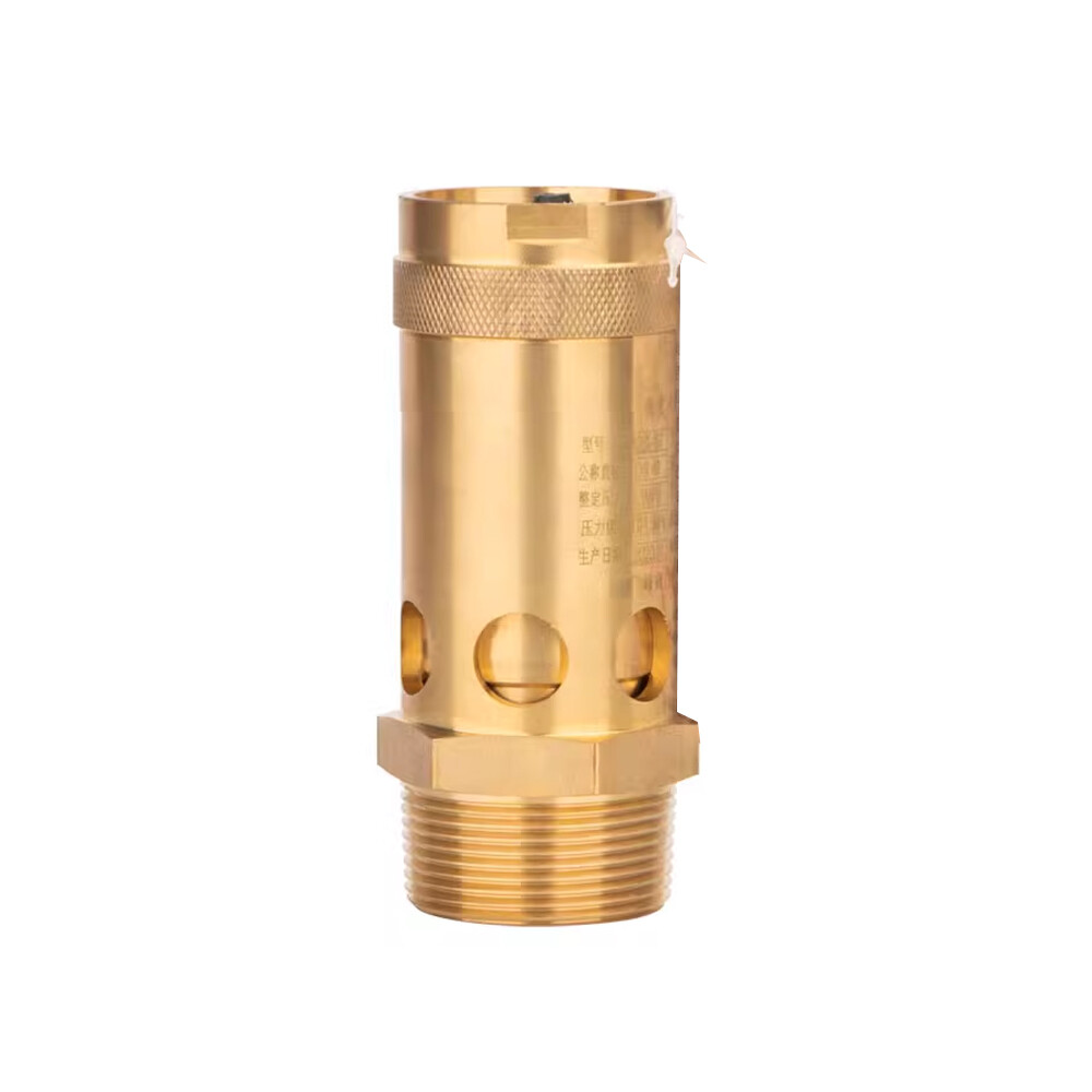 NEW 145 PSI Screw Air Compressor Safety Valve Relief Pop Off Valve DN32/1.0MPA
