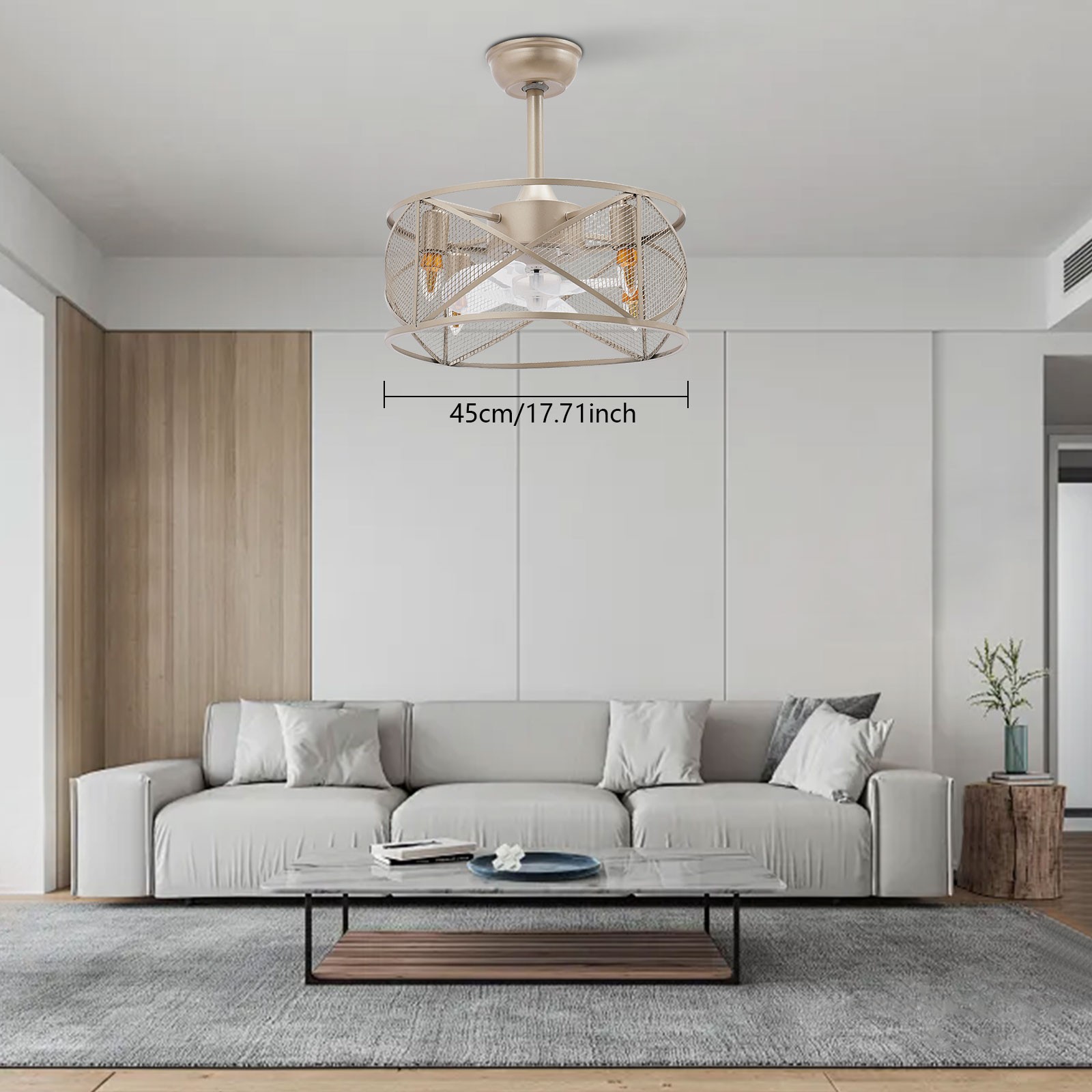 Caged Ceiling Fan Light Ceiling Fan Light Ceiling Fan with Light Remote Control