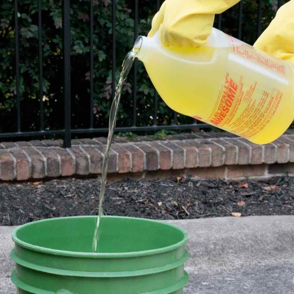 LA's Totally Awesome All-Purpose Cleaner Concentrate 1 Gal. (2-Pack)