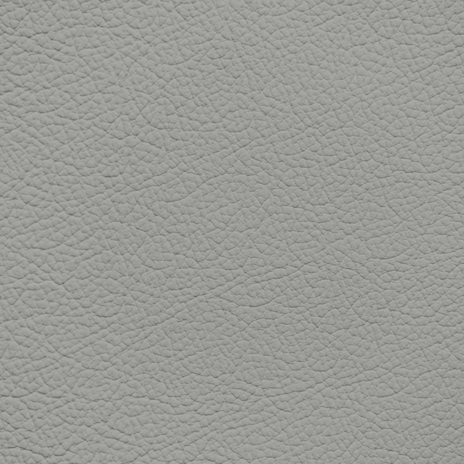 Ford/Lincoln/Mercury Light Graphite Leather Dye
