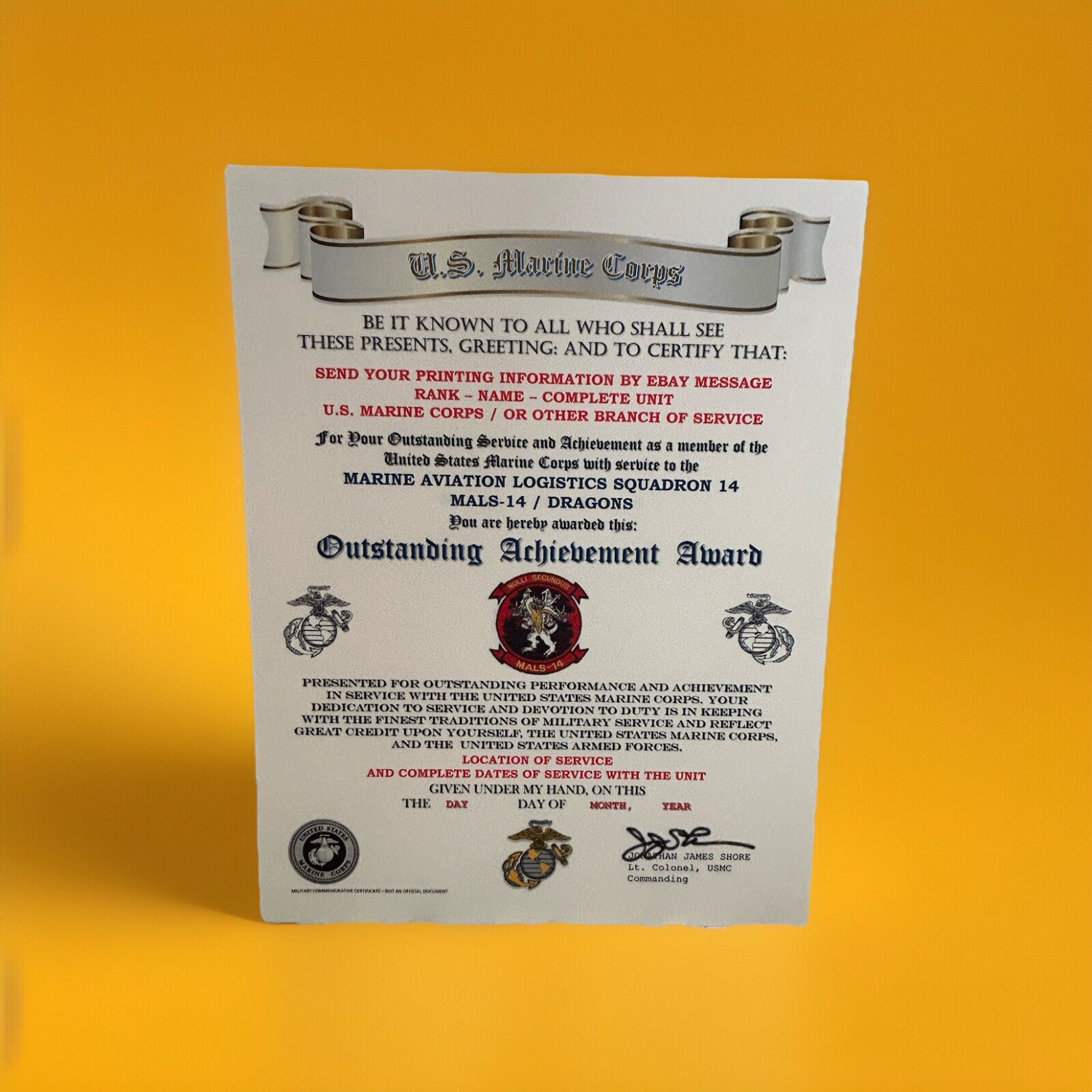 U.S.M.C. / MARINE AVIATION LOGISTICS SQUADRON 14 / OUTSTANDING ACHIEVEMENT AWARD
