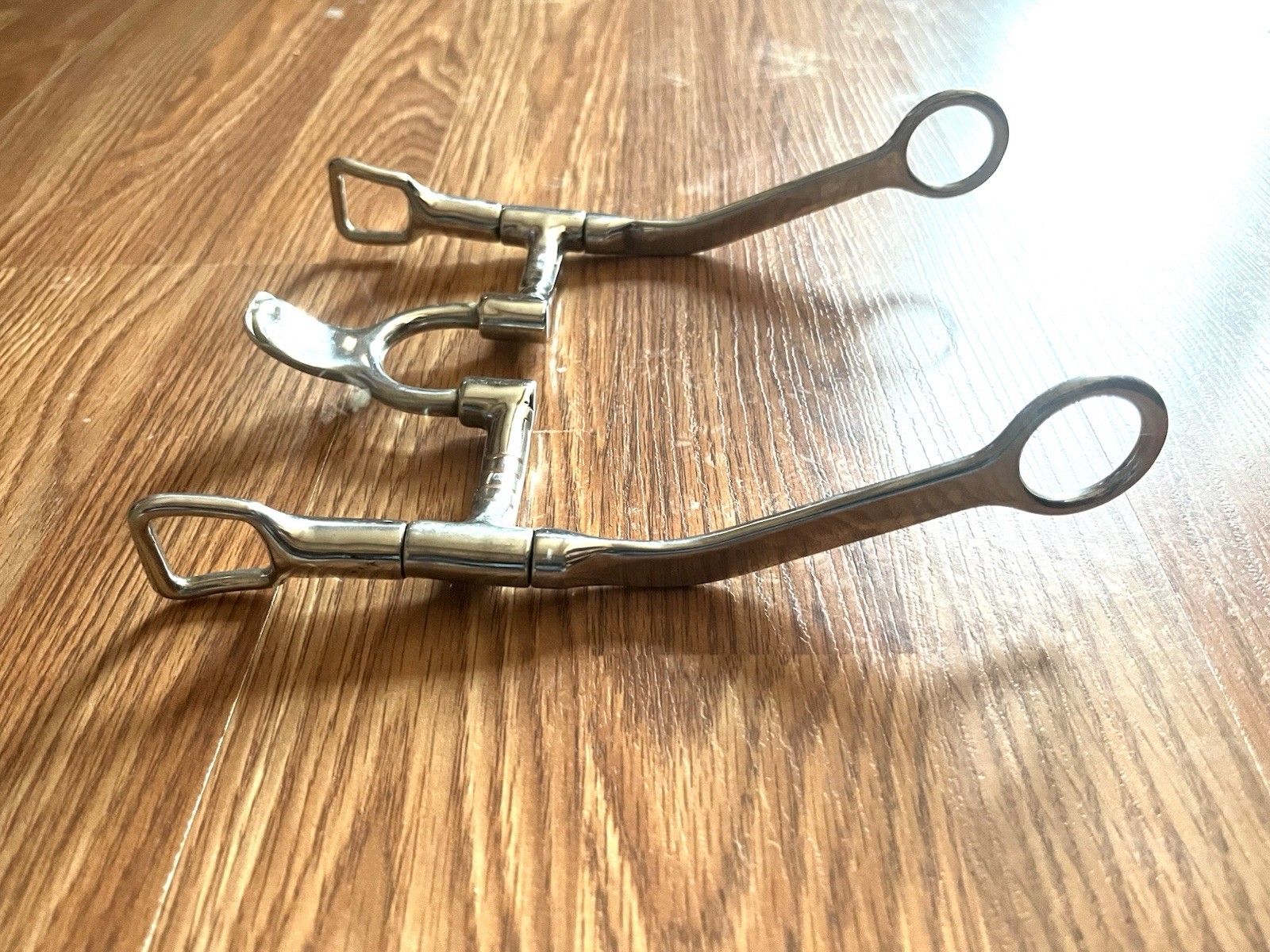 5”  Correctional Cathedral Spade, Flat Stainless Shanks Western Bit 2.5” Port