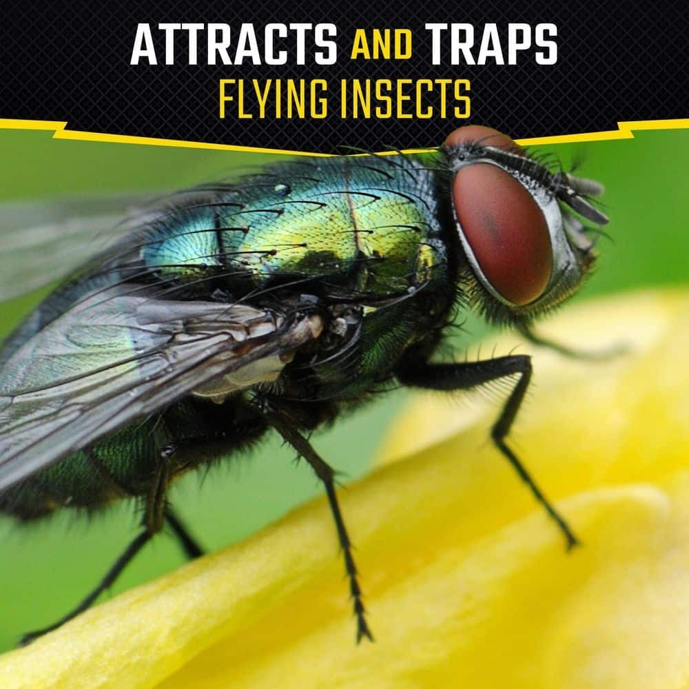 Fly Stick Insect Trap Indoor Outdoor (4-Pack)