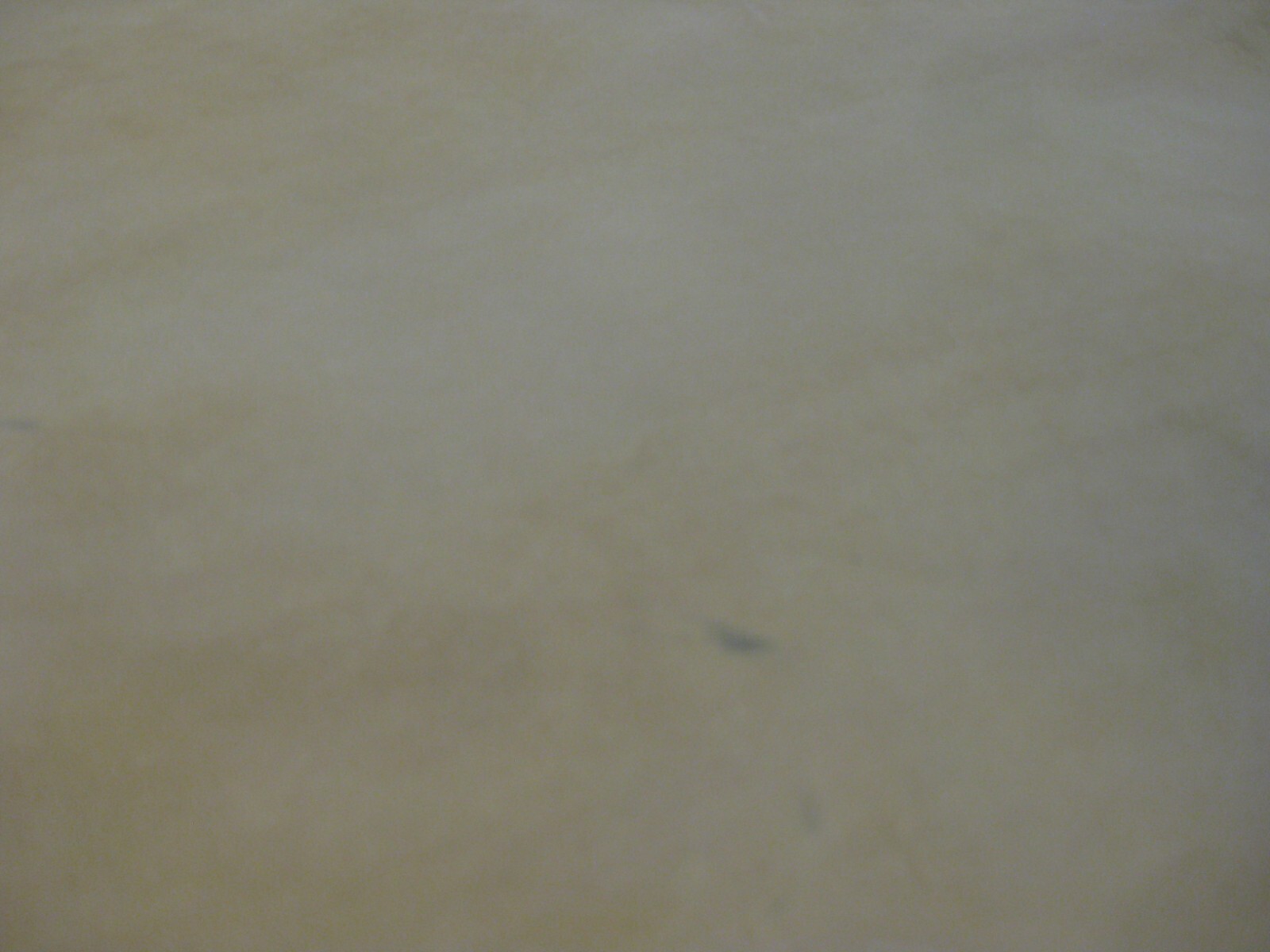 Nubuck Deer Leather #0018011 Row 145