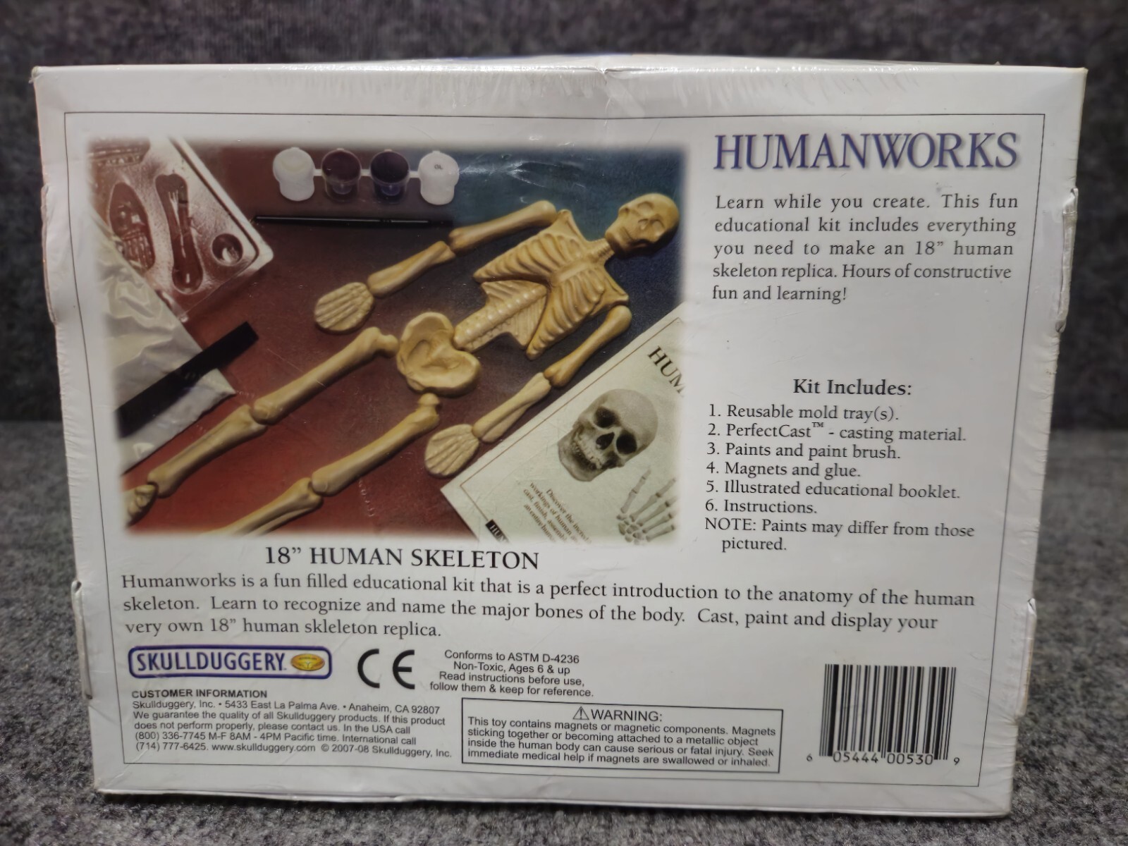 Skullduggery Eyewitness Kits Humanworks 18" HUMAN SKELETON