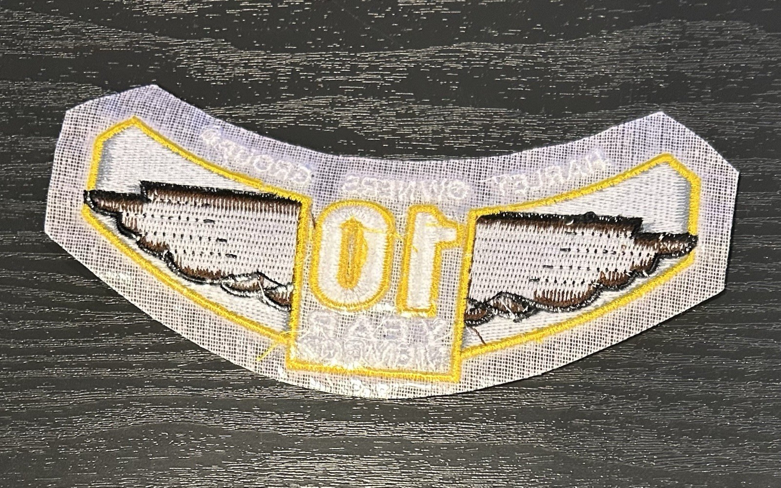 Harley-Davidson HOG 10 Year Member Patch Harley Owners Group