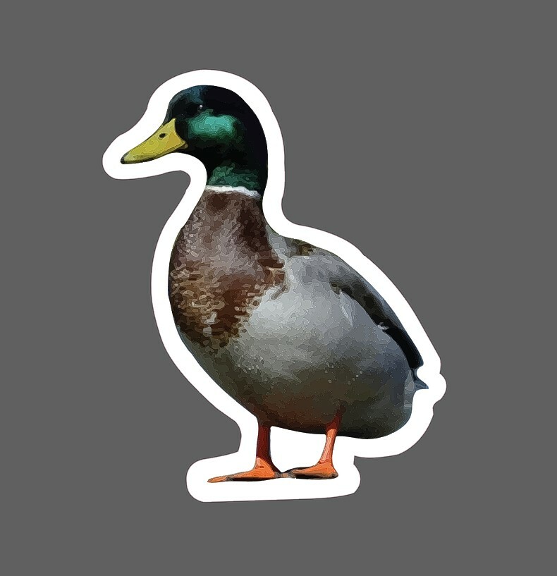 Duck Sticker Mallard Realistic Waterproof Outdoor Animal Gift NEW
