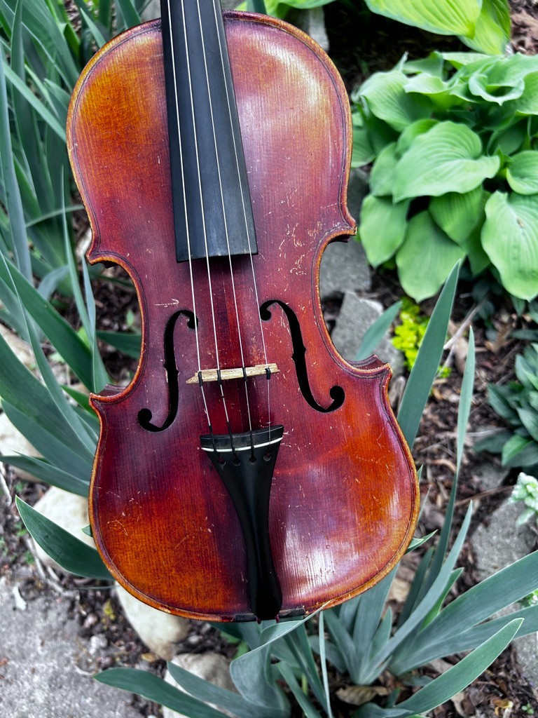 violin