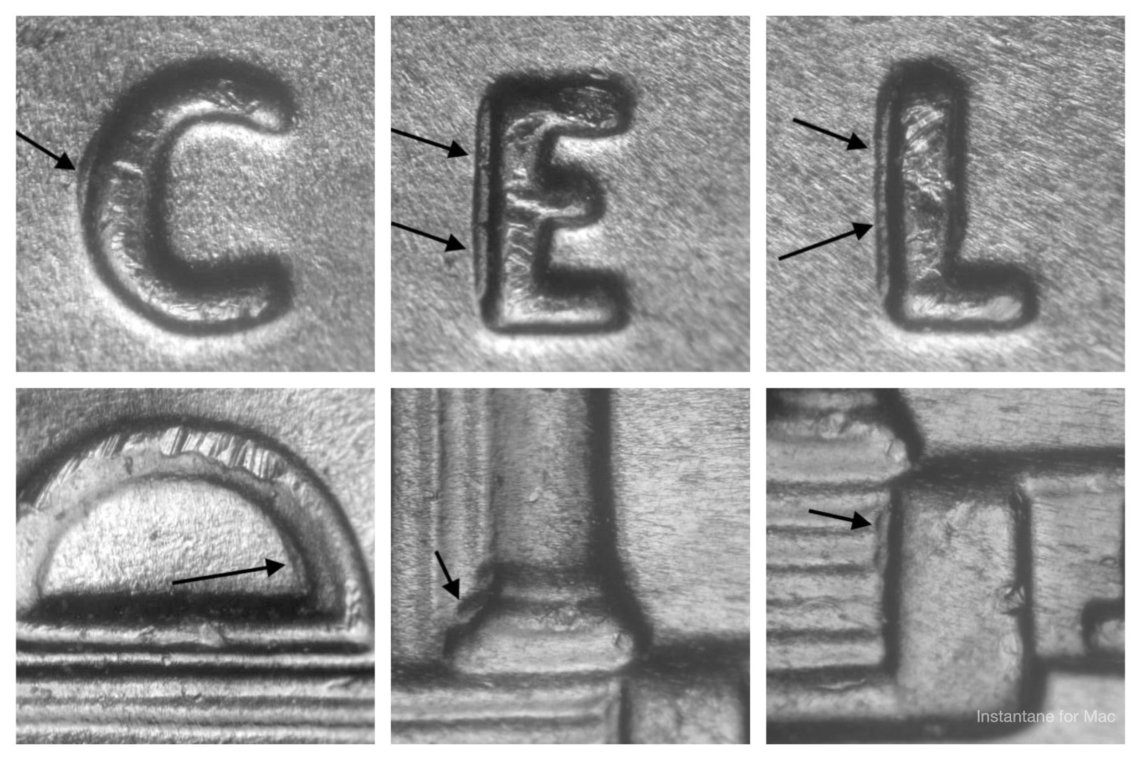 2025 P WDDR-013  Ch/Gem BU Uncirculated Doubled Die Jefferson Nickel NEW LISTING