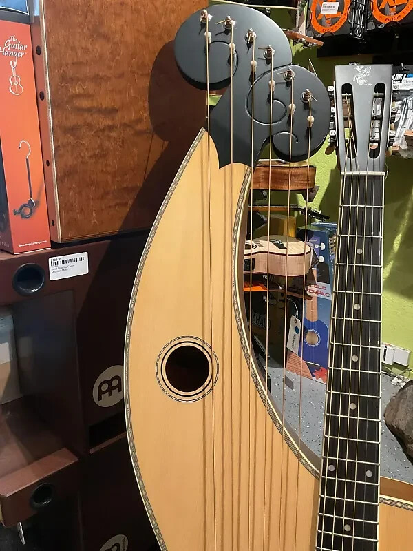 Holloway Harp Guitar with Hard Case
