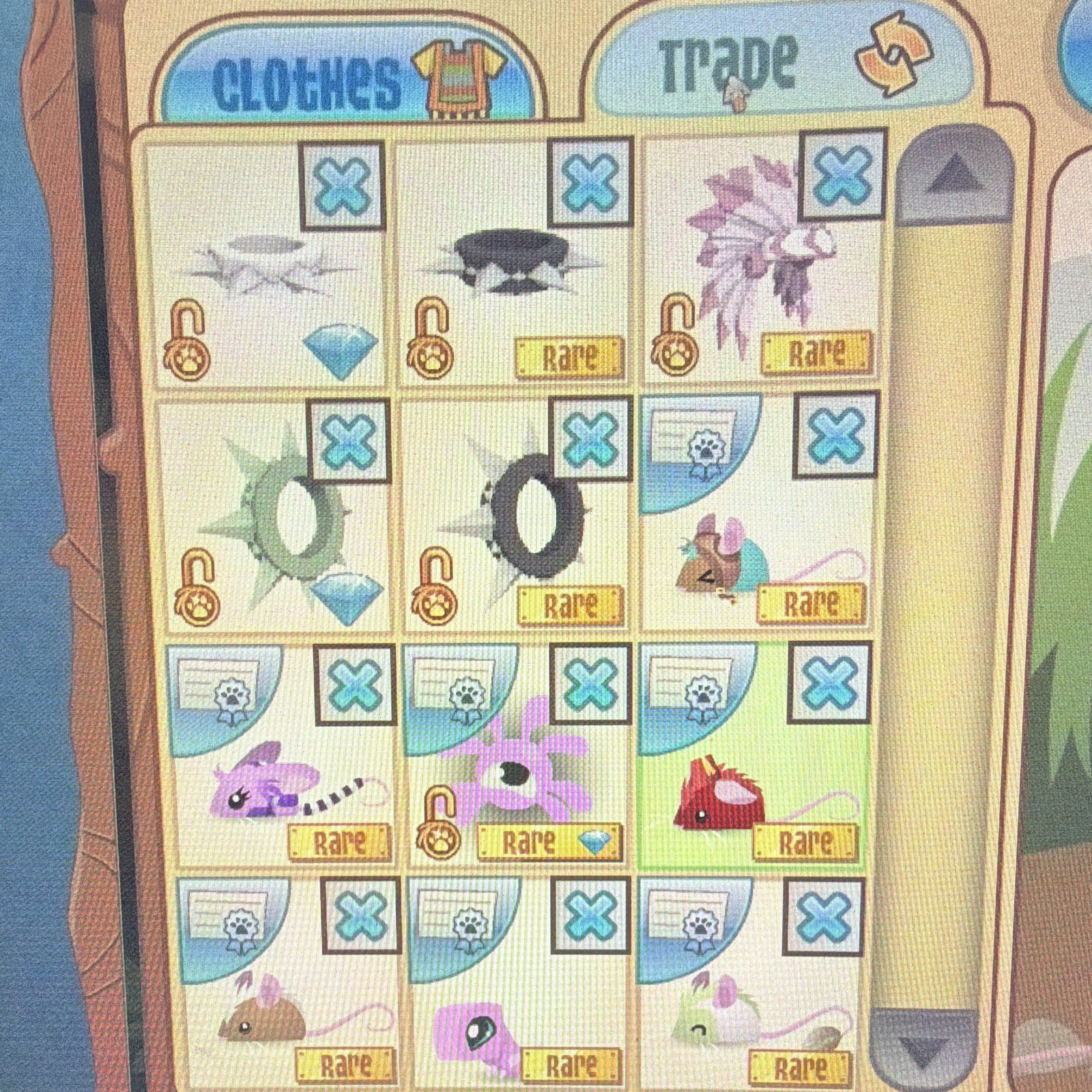 Animal jam RARE BUNDLE (READ DESCRIPTION)