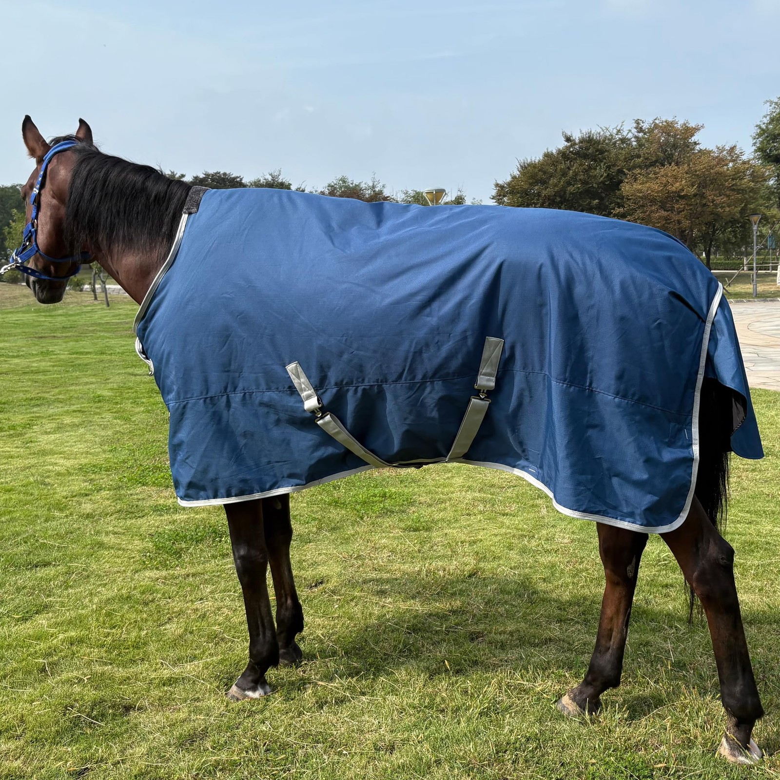 1200D Water-Resistant Winter Horse Trunout Blankets,Medium Weight Poly Sheets...