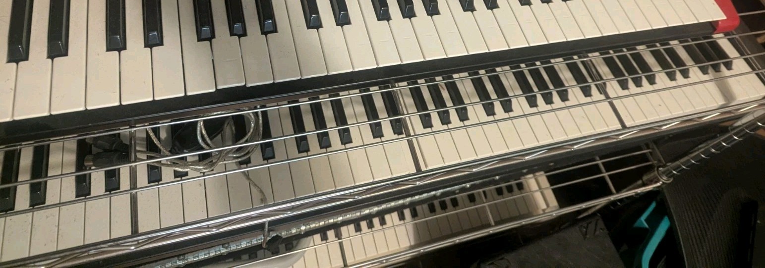Fatar/Studiologic SL-990  88-Key Weighted Hammer-Action MIDI Controller