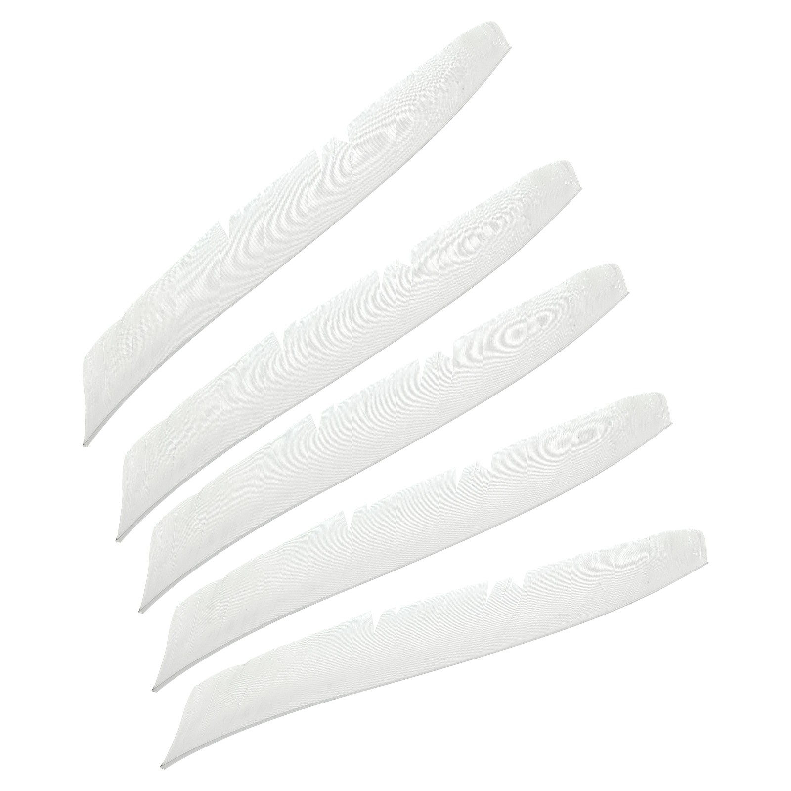 50pcs Arrows Vanes 11 Inch Turkey Feather Arrow Fletching Right Wing, White