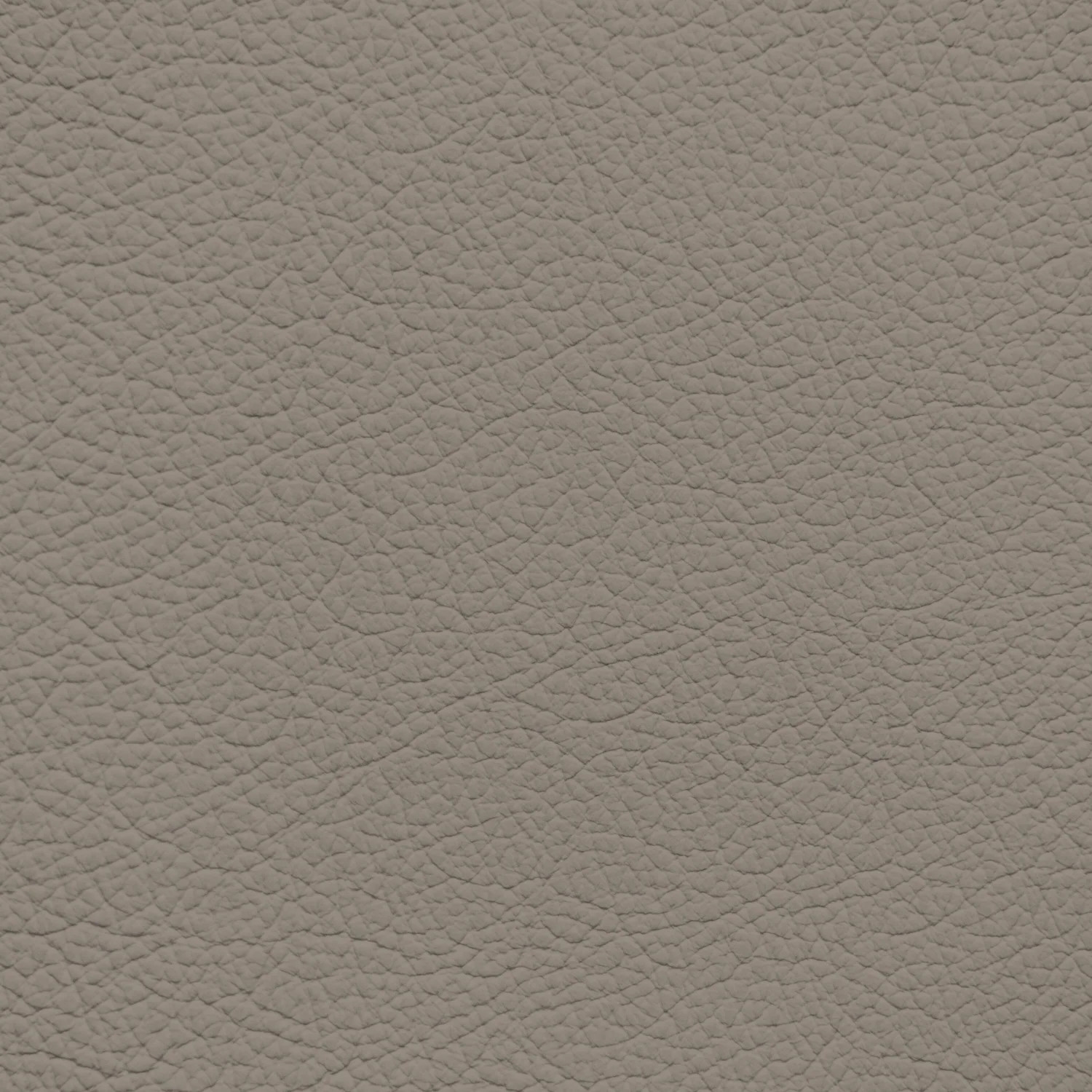 Acura/Honda Shadow Grey/Beige Leather Dye