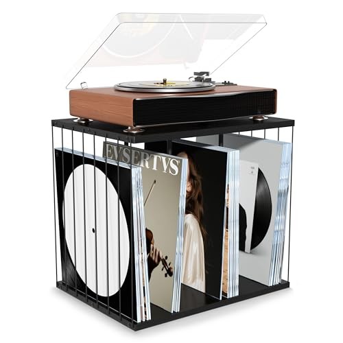 Vinyl Record Storage, Metal & Wooden Vinyl Record Holder Up to 80 Album, Black