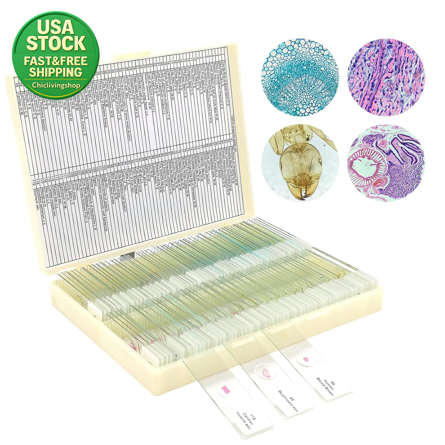 120 Microscope Slides Prepared Specimens Plants Insects Animal Tissues