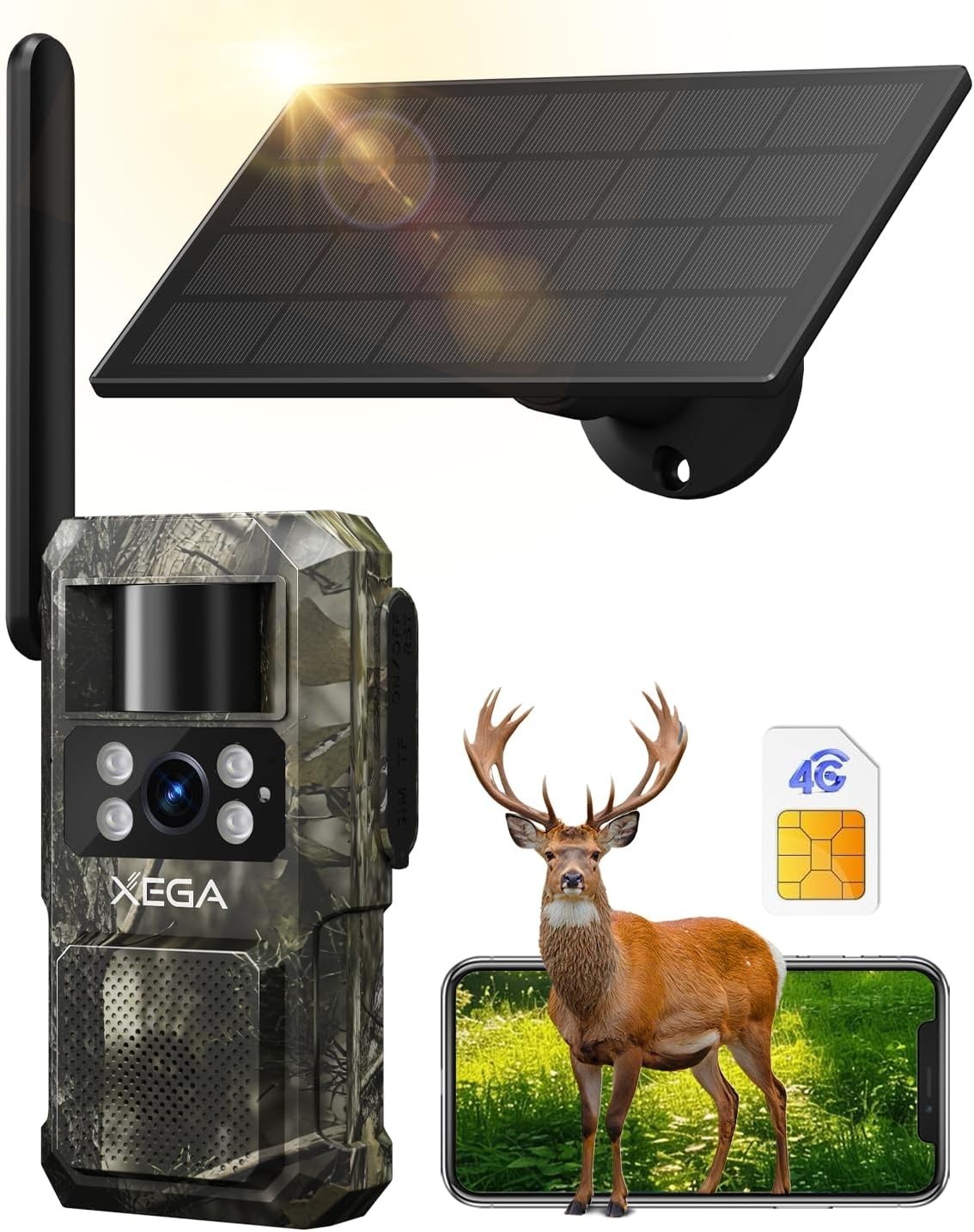 Remote Wildlife Surveillance with 4G LTE Trail Camera - TF and Cloud Storage
