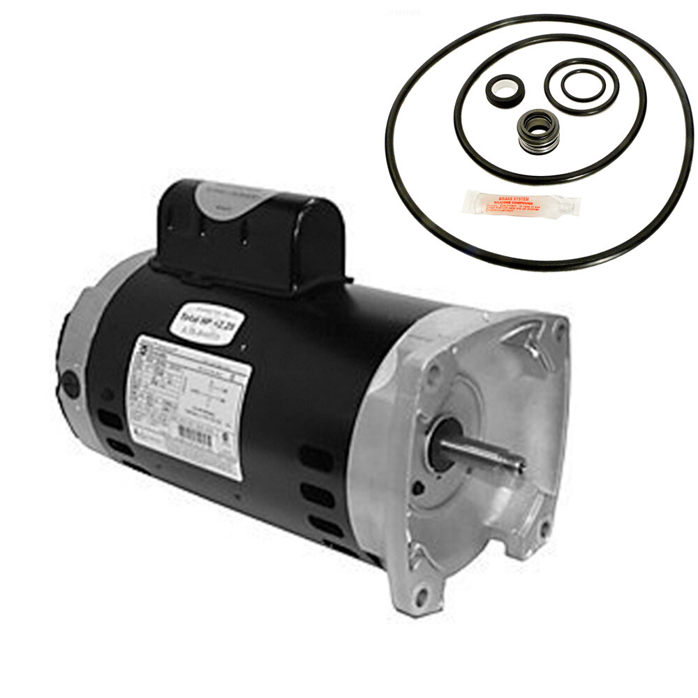 Puri Tech Motor Kit Sta-Rite Max-E-Glas II 1.5HP P4E6F-152L SQ1152 w/GO-KIT-38