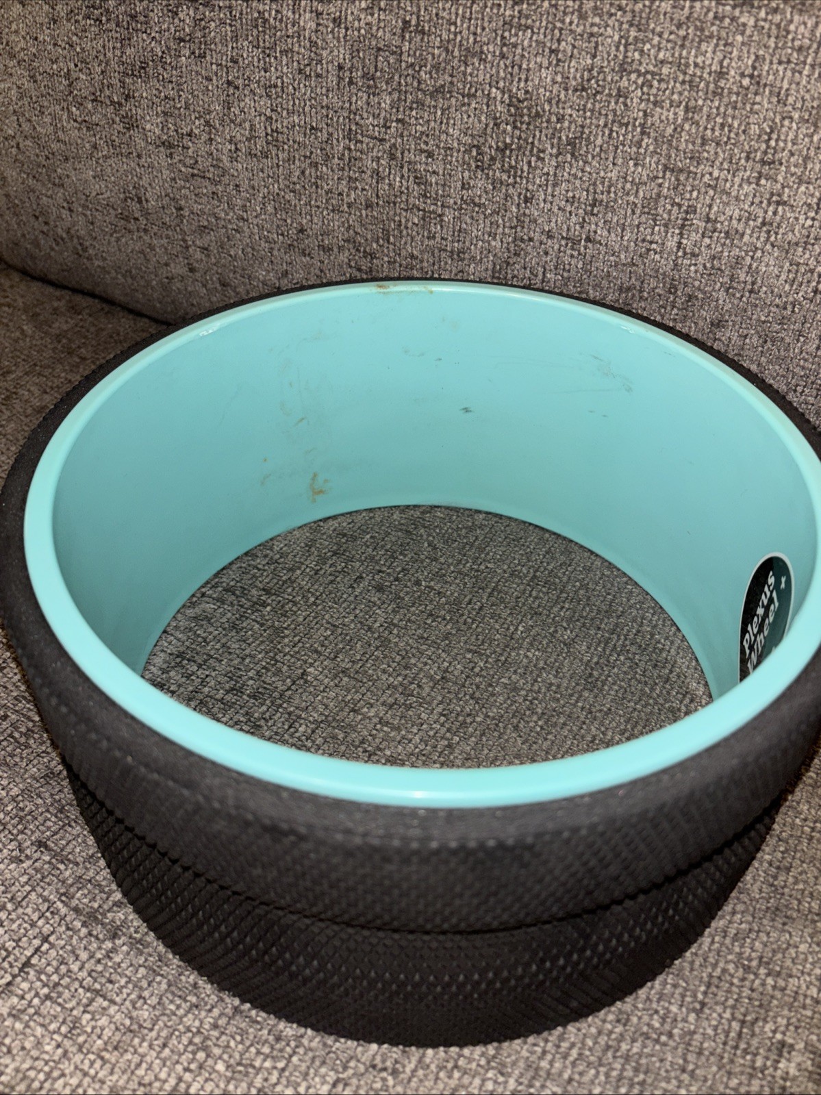 Chirp 10-inch Wheel with Padded Back Roller USED READ
