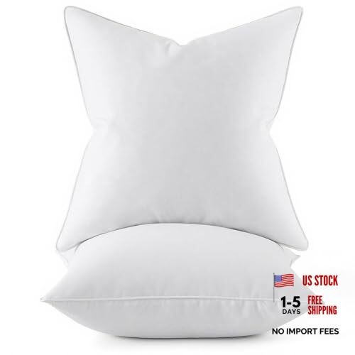 0x0 Pillow Inserts, Pack of Down Feather Premium Throw 20x20 Inch (Pack of 2) 2