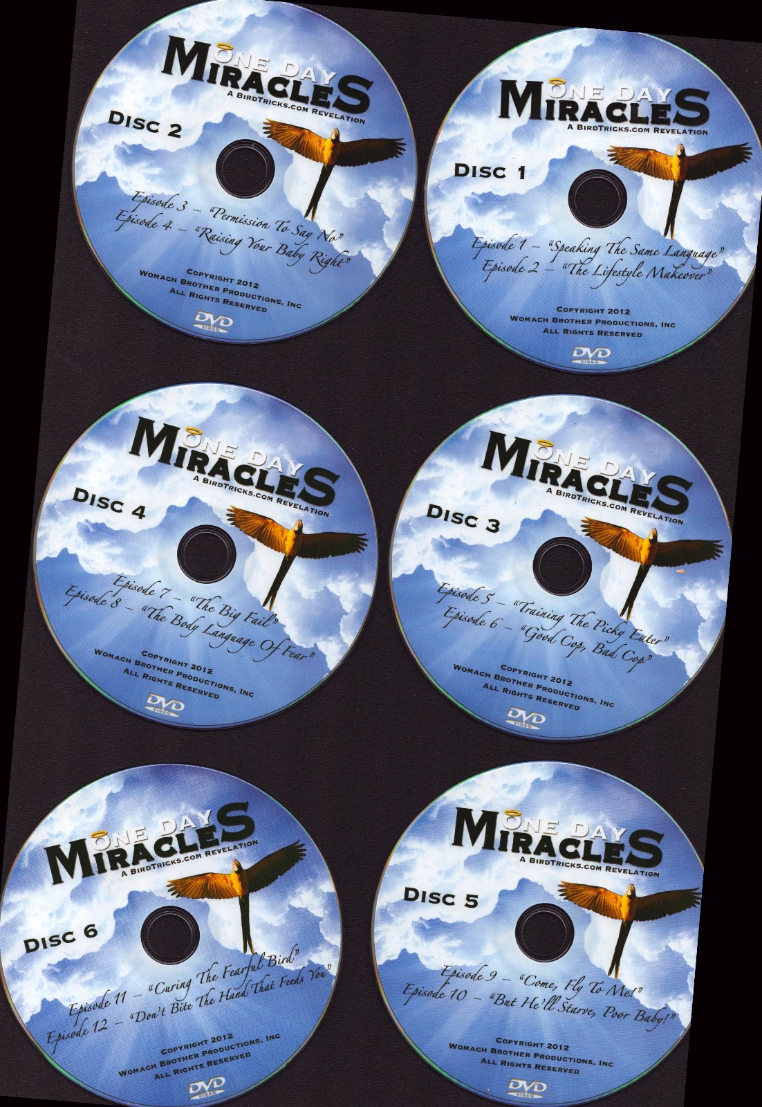 Parrot / Bird DVD One Day Miracles 7 Disc Set Training & Tricks Damaged Case