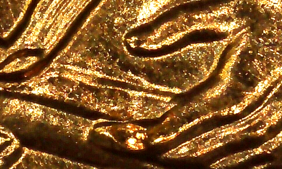 2009 P BU FY DOUBLED DIE REVERSE ERROR WDDR-033
